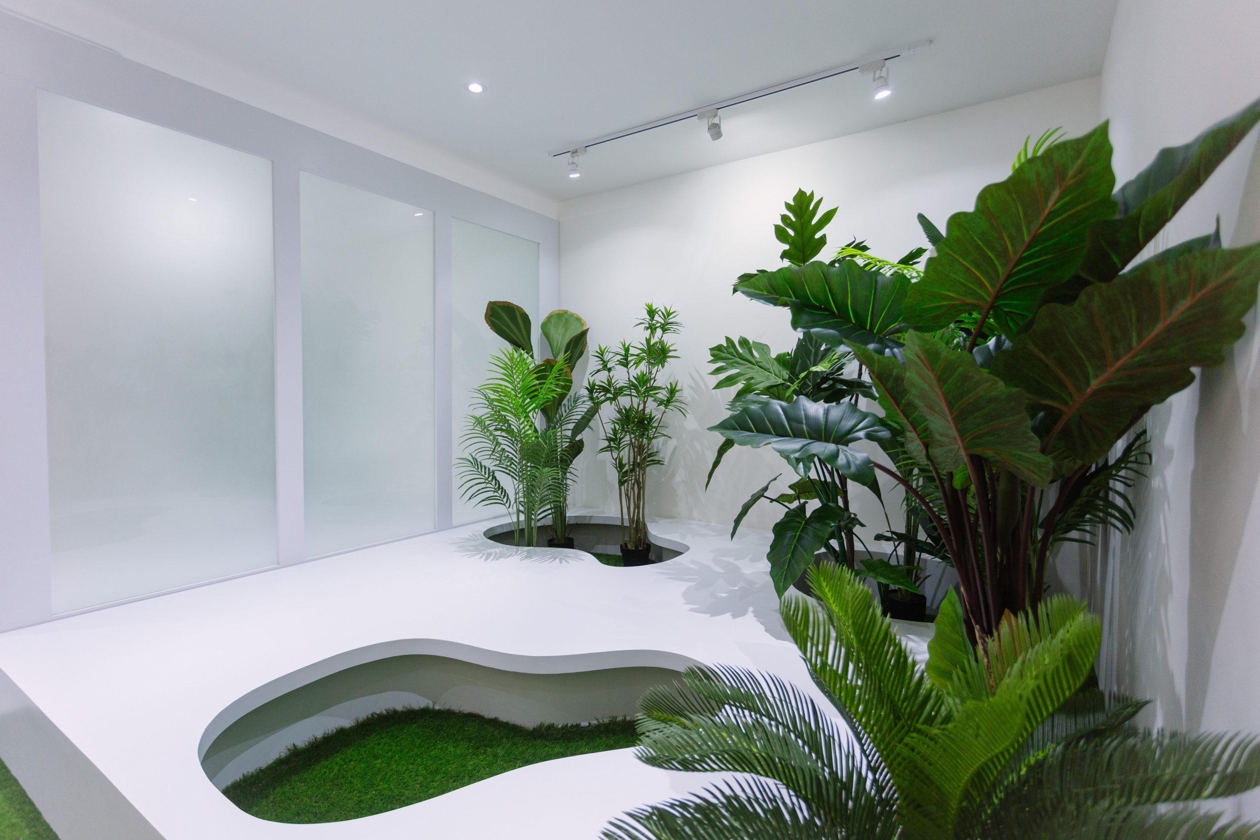 สตูดิโอให้เช่าธีมสีเขียวธรรมชาติ