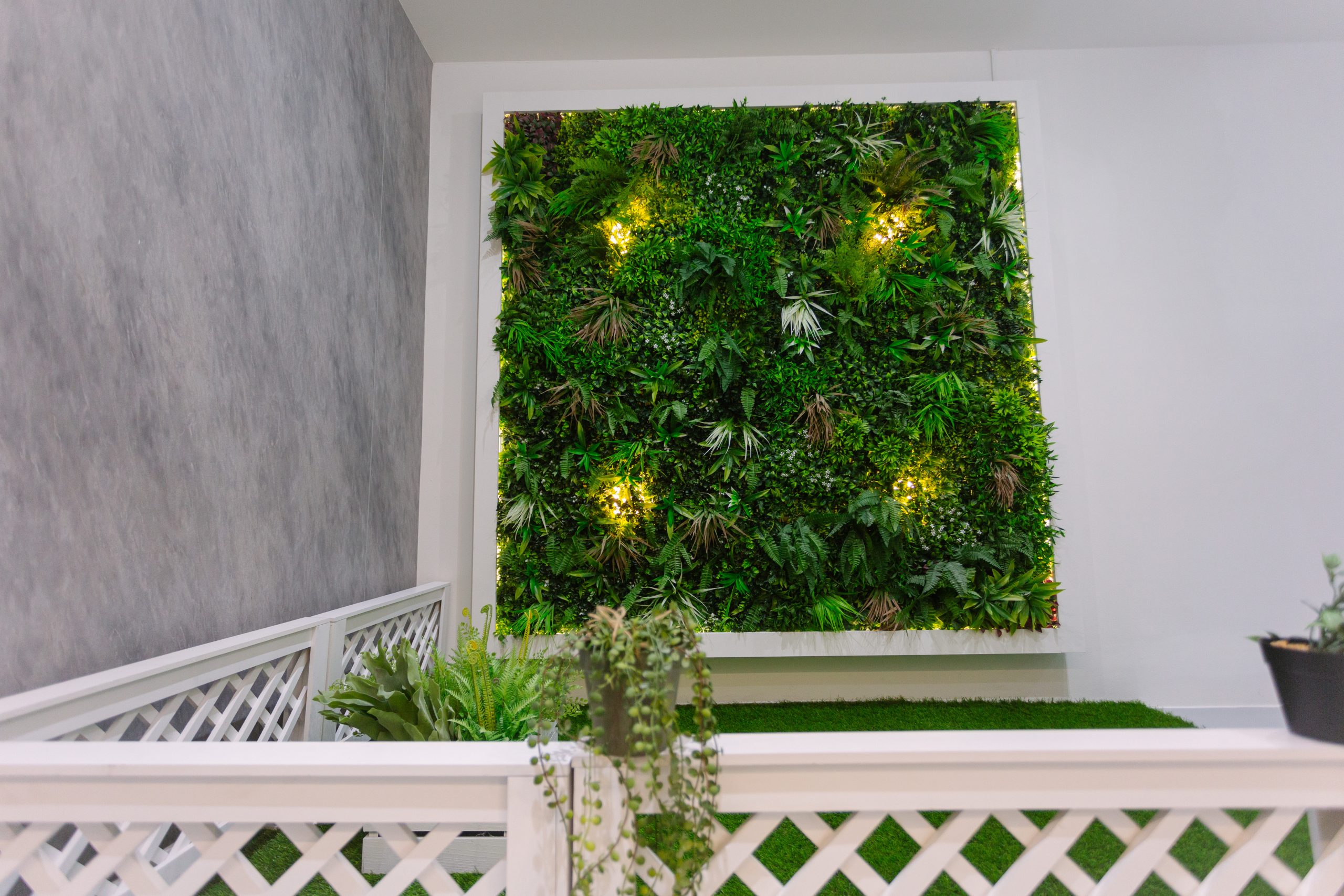 สตูดิโอให้เช่าธีมสีเขียวธรรมชาติ